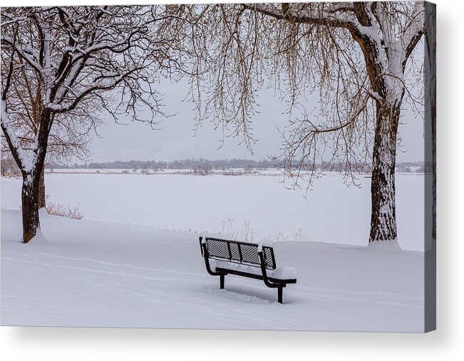 Snow Acrylic Print featuring the photograph Fresh Fallen Snow by James BO Insogna
