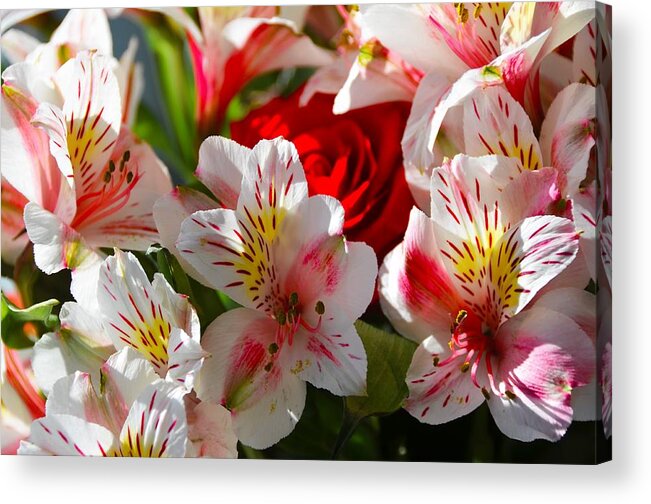 Flowers Acrylic Print featuring the photograph Fresh Flowers by Chuck Brown