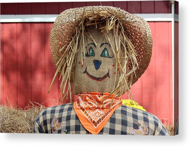 Photo For Sale Acrylic Print featuring the photograph Friendly Scarecrow by Robert Wilder Jr