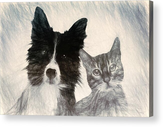 Dog Acrylic Print featuring the mixed media Friends For Life by Maciek Froncisz
