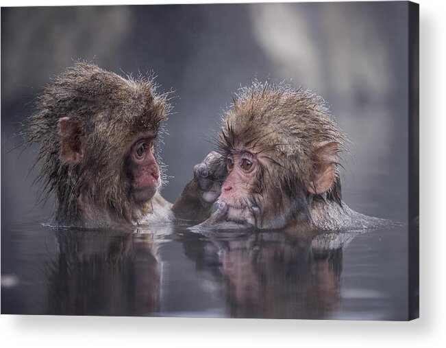 Nature Acrylic Print featuring the photograph Friends by Takeshi Marumoto