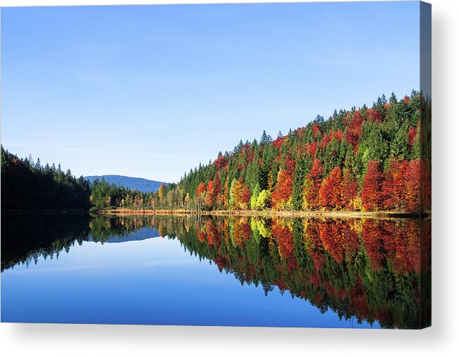 Herbst Acrylic Print featuring the photograph Frillensee in Autumn by Alexander Kunz