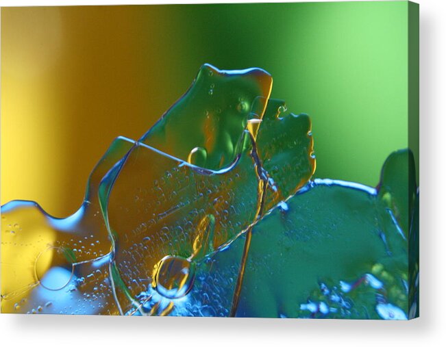 Ice Acrylic Print featuring the photograph Frogger by Rachelle Johnston