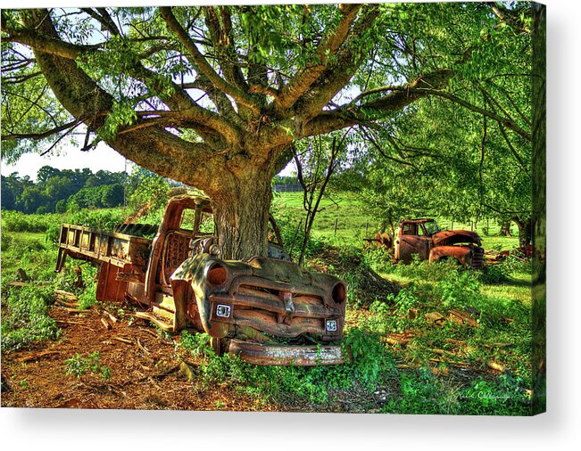 Reid Callaway From Death To Life Acrylic Print featuring the photograph From Death To Life 1954 Chevrolet Flatbed Truck Transportation Art by Reid Callaway