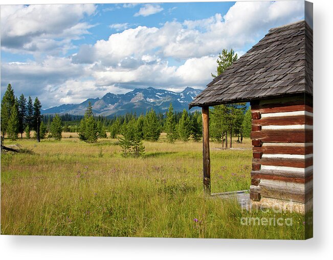 2011 Acrylic Print featuring the photograph Front Yard by Katie LaSalle-Lowery