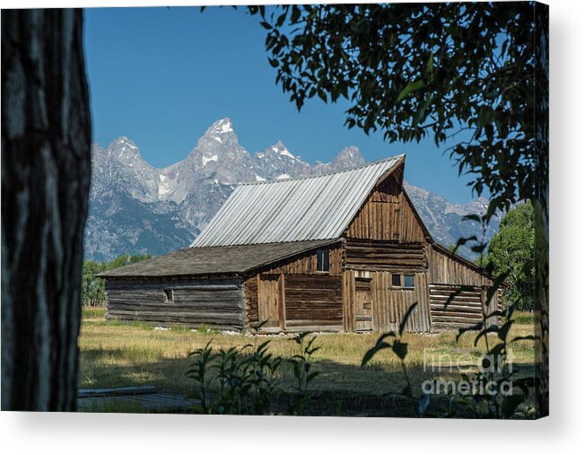 Mormon Row Acrylic Print featuring the photograph Frontier Barn by Tim Mulina