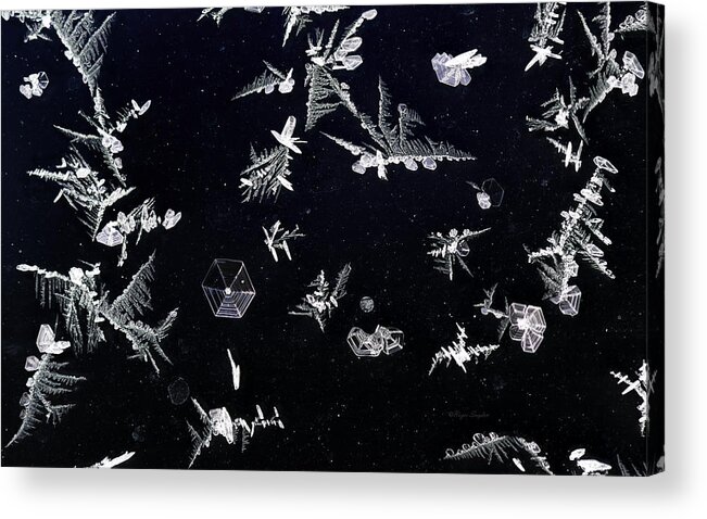 Beautiful Photos Acrylic Print featuring the photograph Frost on Car Window 1 by Roger Snyder