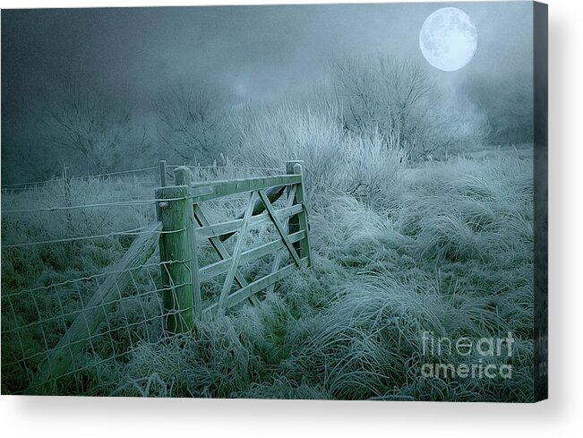 Frost Acrylic Print featuring the photograph Frosty Night by Brian Tarr