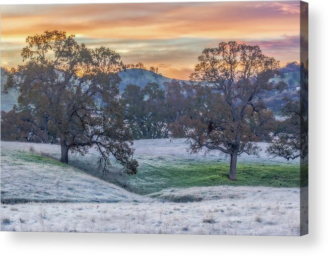 Landscape Acrylic Print featuring the photograph Frosty Sunrise by Marc Crumpler