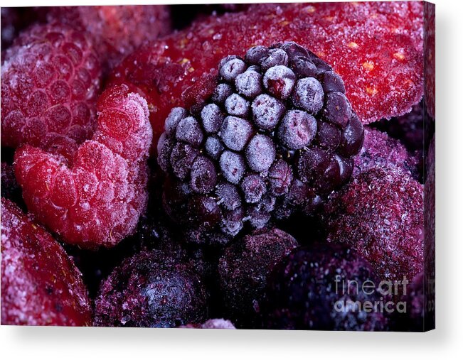 Fruit Acrylic Print featuring the photograph Frozen summer fruits macro by Simon Bratt