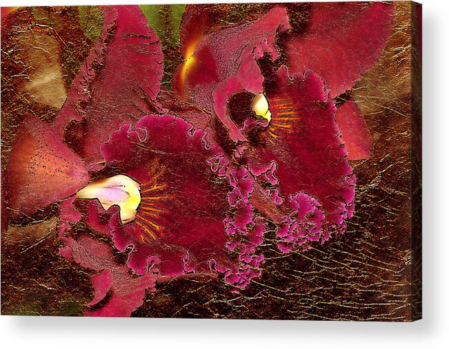 Orchids Acrylic Print featuring the photograph Fuchsia Orchids Gold Leaf Look by Phyllis Denton