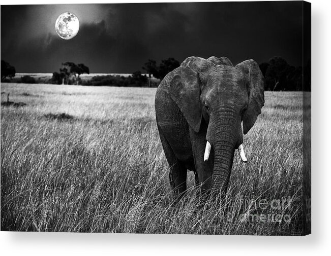 Moon Acrylic Print featuring the photograph Full Moon Night by Charuhas Images