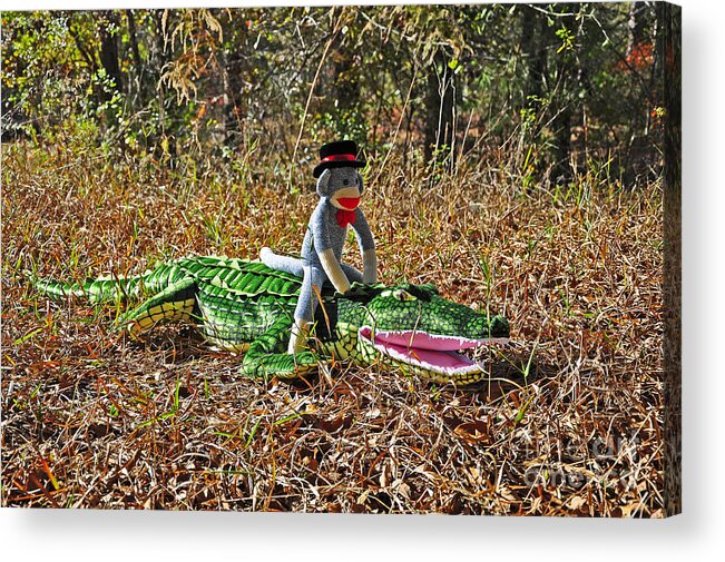 Sock Monkey Acrylic Print featuring the photograph Funky Monkey - Reptile Rider by Al Powell Photography USA