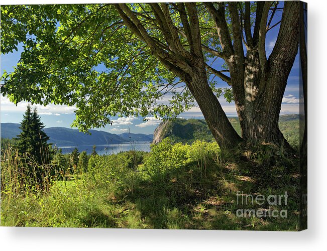 Fyresdal Acrylic Print featuring the photograph Fyresdal, Telemark, Norway by David Bleeker