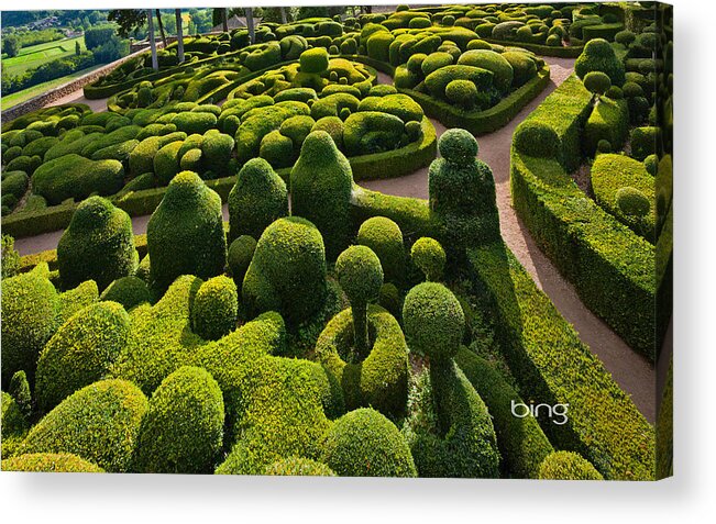 Garden Acrylic Print featuring the digital art Garden by Maye Loeser