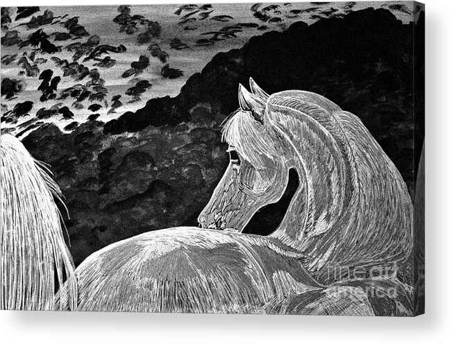 Print Acrylic Print featuring the digital art Ghost Horse in Black and white by Barbara Donovan