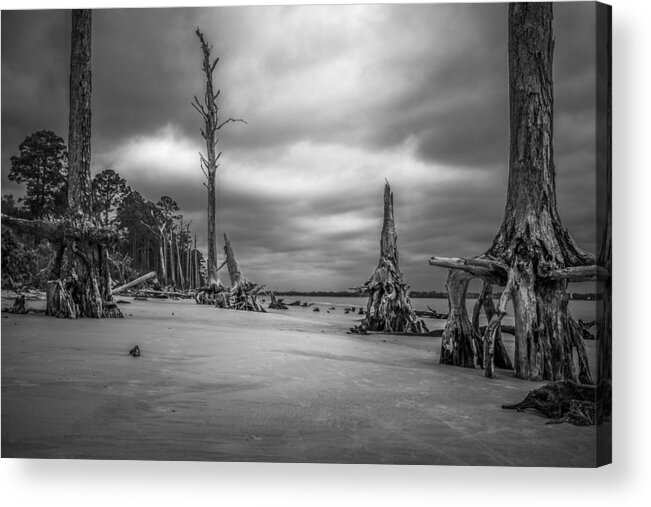 Coast Acrylic Print featuring the photograph Ghosts of Giants above the Sand - BW by Chris Bordeleau