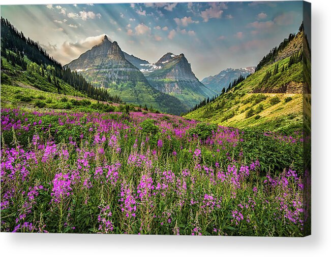 Glacier Acrylic Print featuring the photograph Glacier Meadow by Peter Tellone