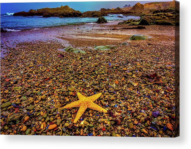 Starfish Acrylic Print featuring the photograph Glass Beach Starfish by Garry Gay