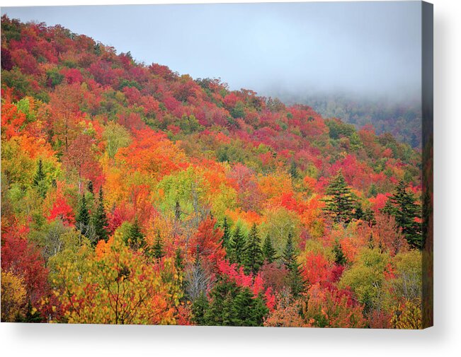 Green Mountains Acrylic Print featuring the photograph Glorious by Betty LaRue