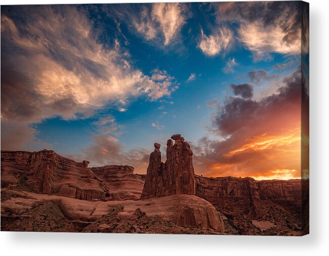 Sunset Acrylic Print featuring the photograph Glowing Gossips by Darren White