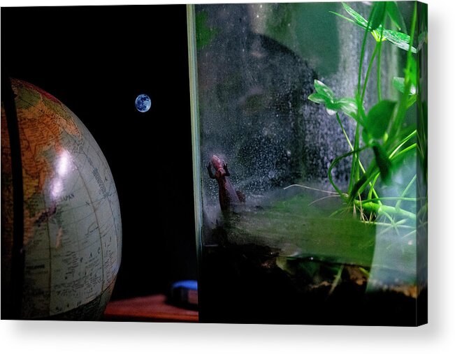 Earth Acrylic Print featuring the photograph Godzilla Watches and The Moon is Blue by Steven Dunn