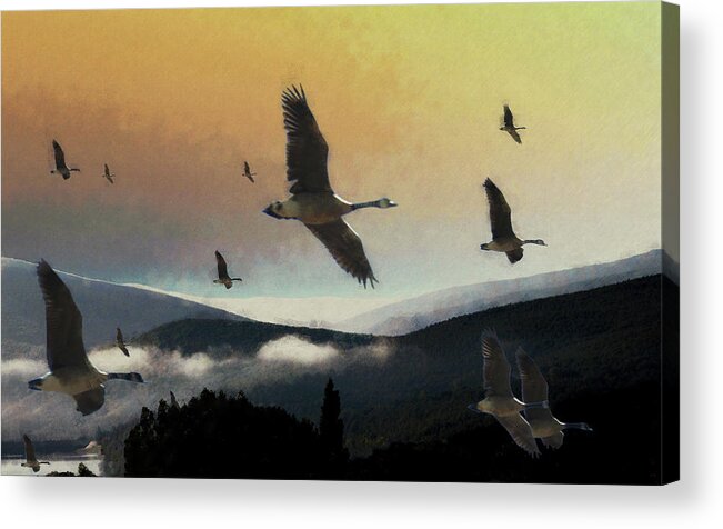 Geese Acrylic Print featuring the photograph Going south by John Stuart Webbstock