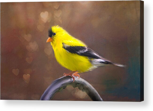 Gold Finch Bird Acrylic Print featuring the photograph Gold Finch Love by Mary Timman