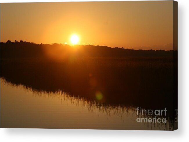 Glow Acrylic Print featuring the photograph Gold Morning by Nadine Rippelmeyer