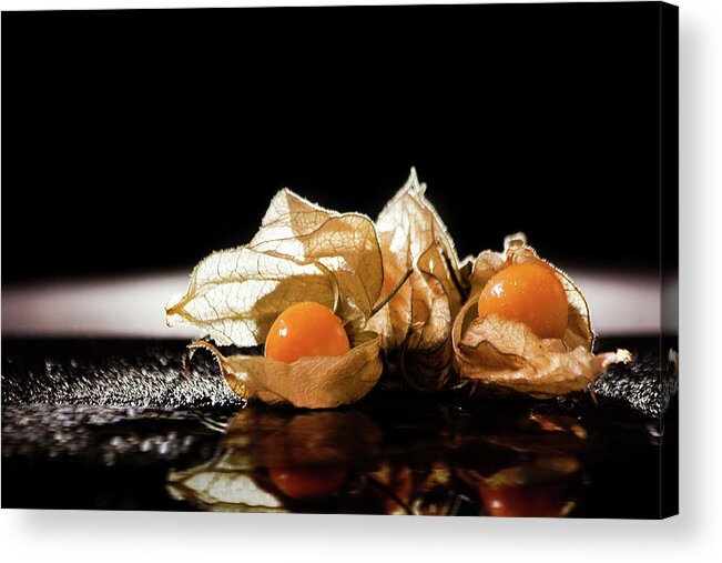 Physalis Acrylic Print featuring the photograph Goldberries by Christine Sponchia