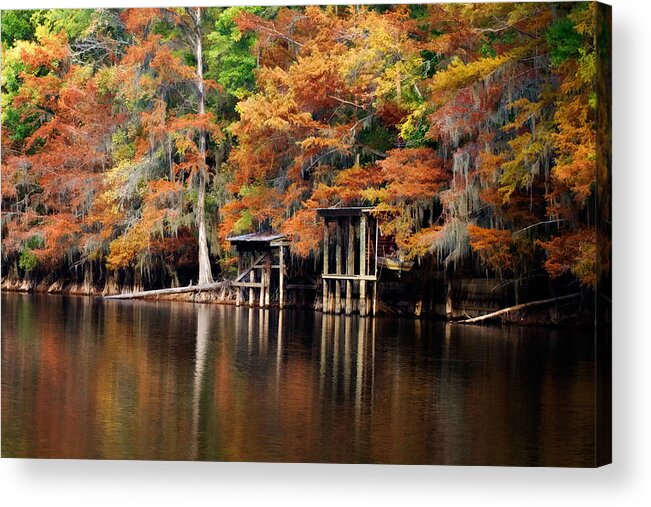 Autumn Acrylic Print featuring the digital art Golden Bayou by Lana Trussell