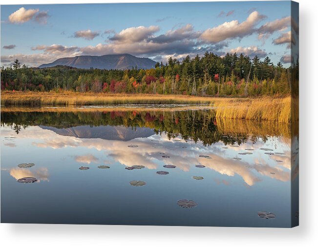Maine Acrylic Print featuring the photograph Golden hour at Compass Pond by Colin Chase