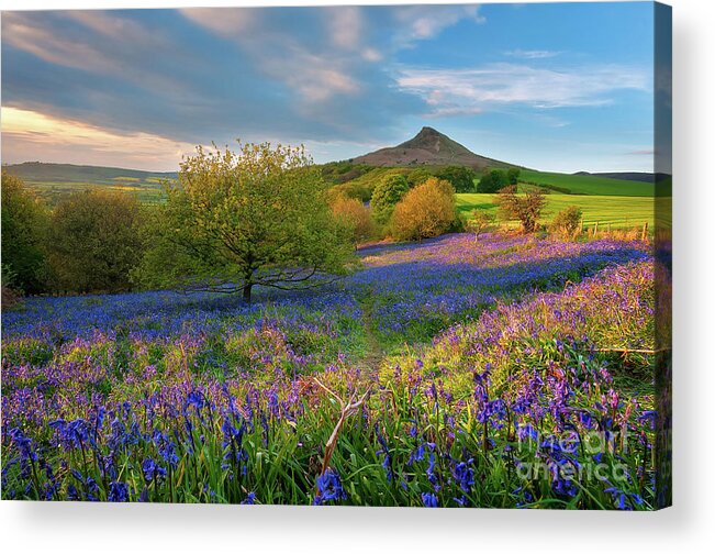 Mtphotography Acrylic Print featuring the photograph Golden hour at Roseberry Topping by Mariusz Talarek