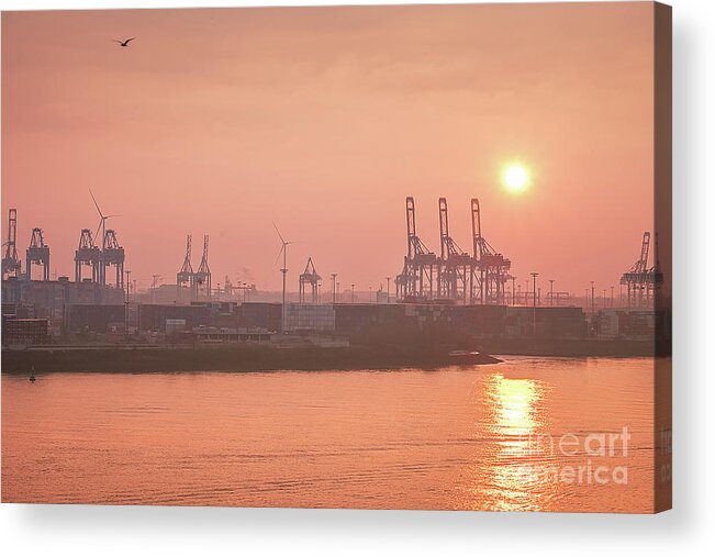 Golden Hour On The Elbe By Marina Usmanskaya Acrylic Print featuring the photograph Golden hour on the Elbe by Marina Usmanskaya