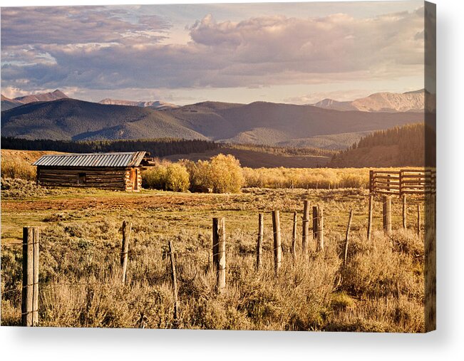 Autumn Acrylic Print featuring the photograph Golden Lonesome by Lana Trussell