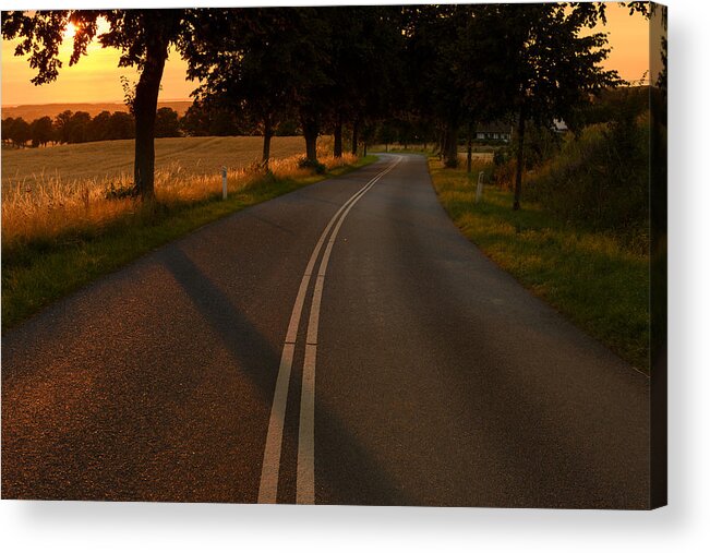 Golden Acrylic Print featuring the photograph Golden Road by Marcus Karlsson Sall