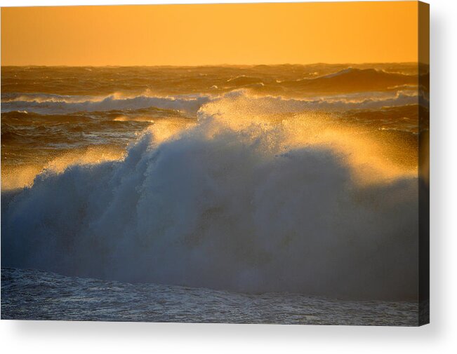 Ocean Acrylic Print featuring the photograph Golden Seaside Energy by Dianne Cowen Cape Cod Photography