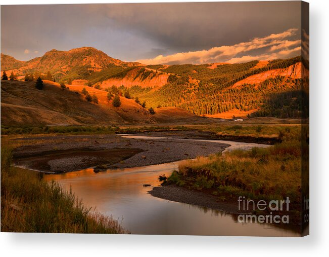  Acrylic Print featuring the photograph Golden Sunset In Lamar Valley by Adam Jewell