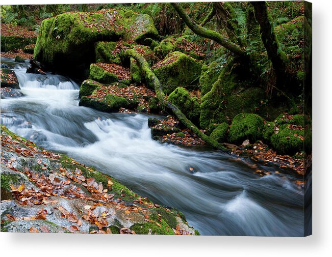 Blurry Water Acrylic Print featuring the photograph Golitha Falls iv by Helen Jackson