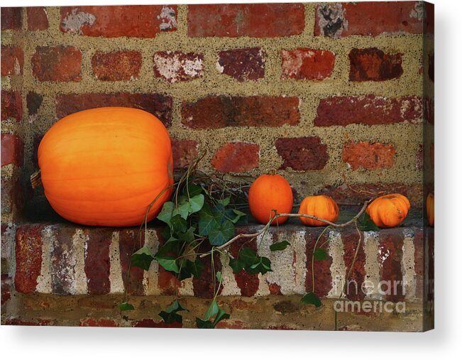  Acrylic Print featuring the photograph Gourds On A Window Sill by Christiane Schulze Art And Photography