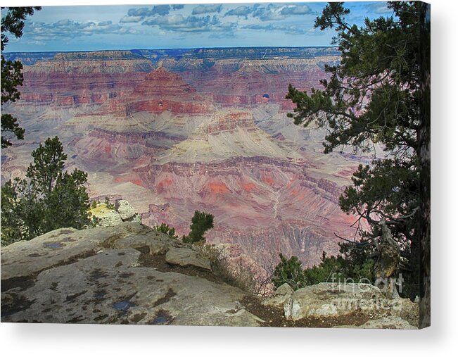Grand Canyon Acrylic Print featuring the photograph Grand Canyon in Spring by Ruth Jolly