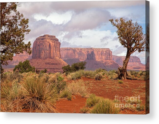 Monument Valley Print Acrylic Print featuring the photograph Grandview by Jim Garrison