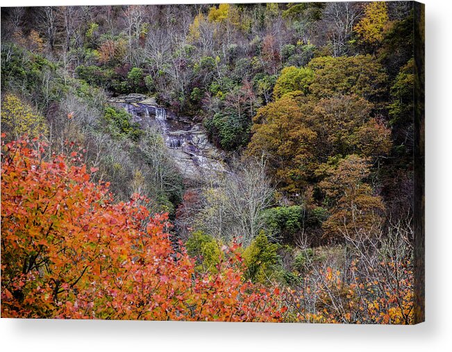 Waterfall Acrylic Print featuring the photograph Graveyard Fields Lower Falls by Allen Nice-Webb