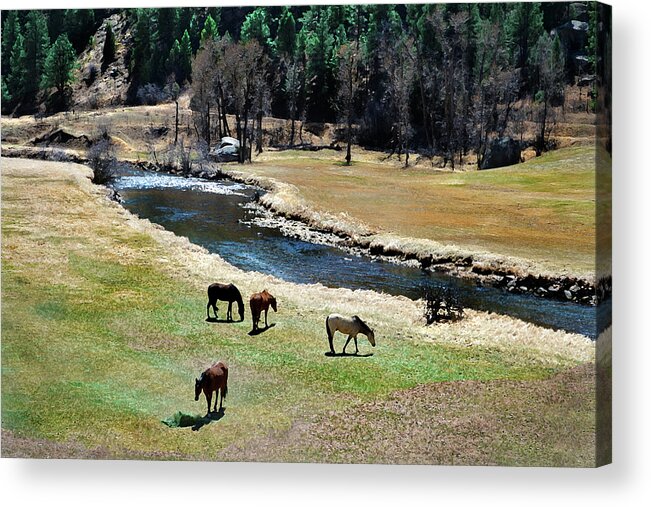 Landscape Acrylic Print featuring the mixed media Grazing 2 by Angelina Tamez