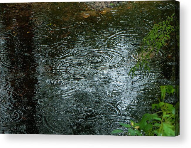 Color Image Acrylic Print featuring the photograph Great Dismal Water drops by Brian Green