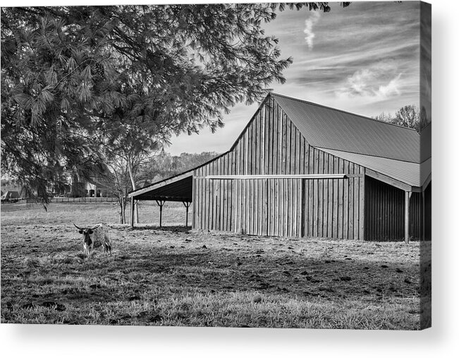Bull Acrylic Print featuring the photograph Green Barn Black And White by Lorraine Baum