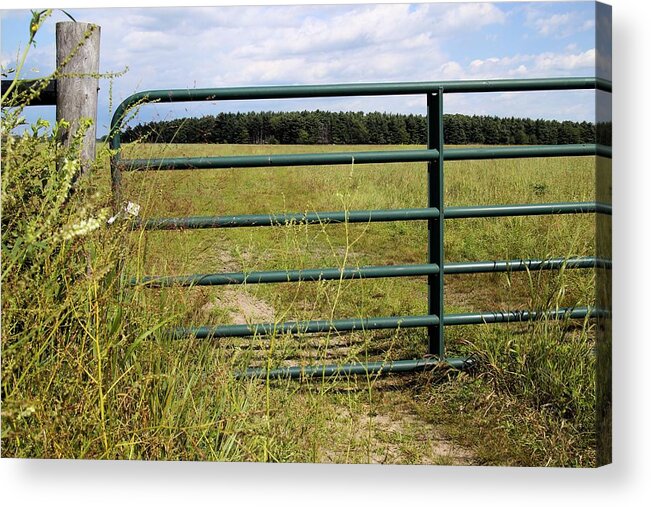 Meadow Acrylic Print featuring the photograph Green Pasture Gate by Scott Kingery