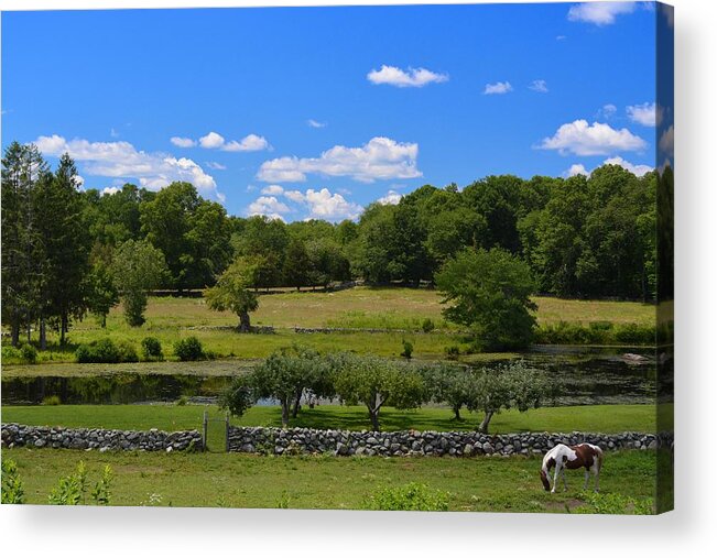 Farm Acrylic Print featuring the photograph Green Pastures by Tammie Miller