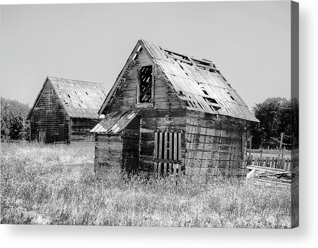 Grizzled Acres In Black & White Acrylic Print featuring the photograph Grizzled Acres in Black and White by Kandy Hurley