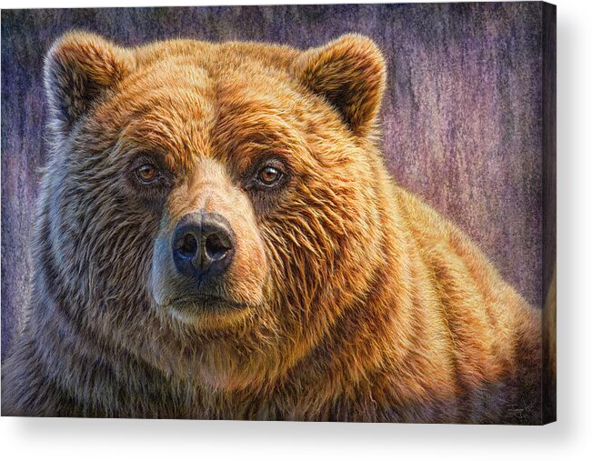 Grizzly Acrylic Print featuring the painting Grizzly Portrait by Phil Jaeger